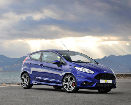 Ford Fiesta Mk7 & 8 ST180 Footwell Extinguisher Kits